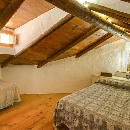 El Cuarto Tatil Evi *